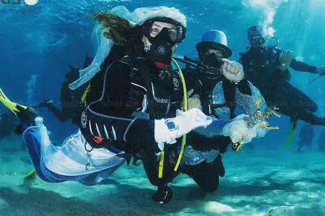Élite Diving Agency