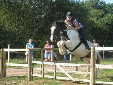 Hillview Riding Stables