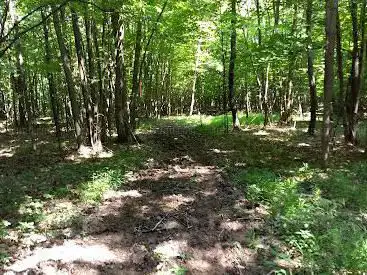 Photo de Vickers Nature Preserve