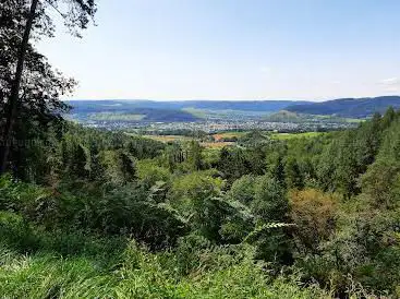 Meulenwald-Moseltal-Blick