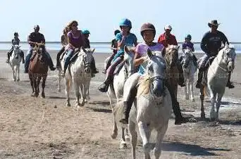 Photo de Le Palomino