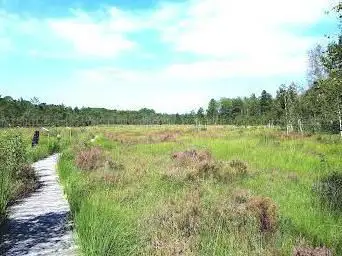 Photo de Tourbière de la Guette - Site de la Maison de l'Eau