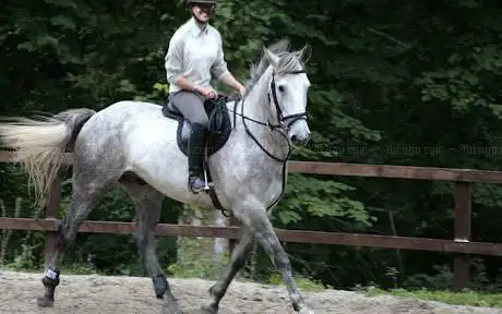 Photo de Craigengillan Stables