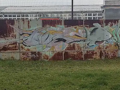 Murale Shark