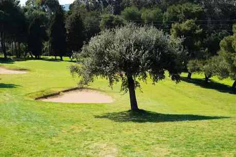 Elba Golf Club Acquabona