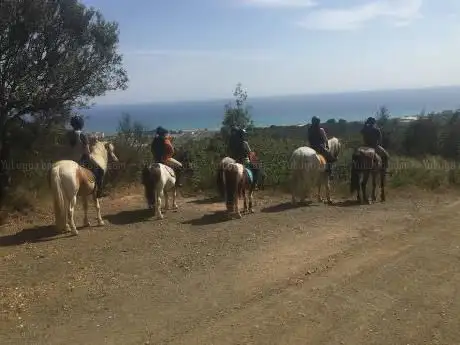 Ak-Vall Horse Center