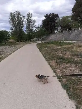 Photo de Passeig Torcatis