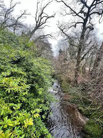Abbeyford Woods
