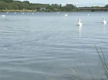 Photo de Love Open Water Milton Keynes