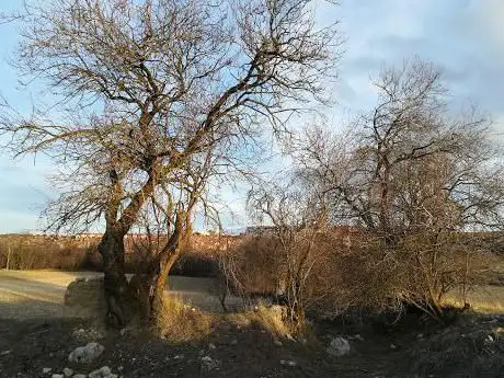Photo de La Senda