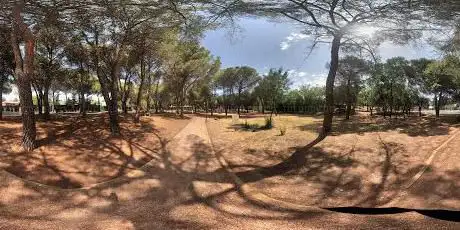 Photo de Parque Forestal de Las Loma
