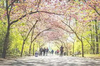 Josaphat Park