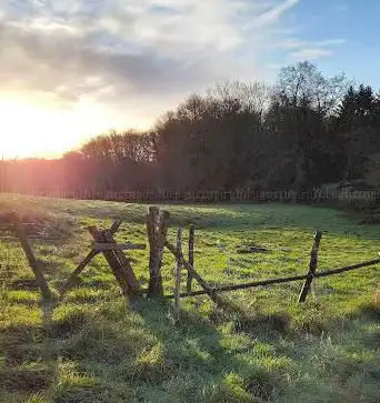 Photo de Parc de l'Oseraie