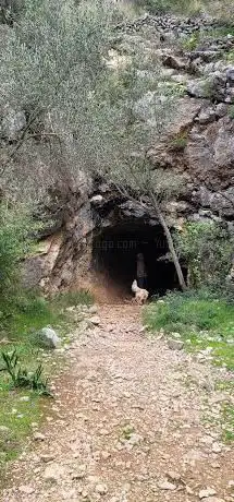 Photo de Ruta a la Presa d'Isbert