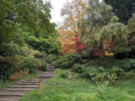 Winkworth Arboretum Lake