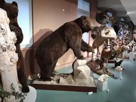 Photo de Museum of Natural History of Tours