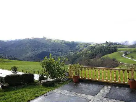 Photo de RASINES RURAL