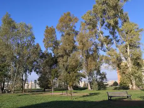 Parco Di Ponte Di Nona