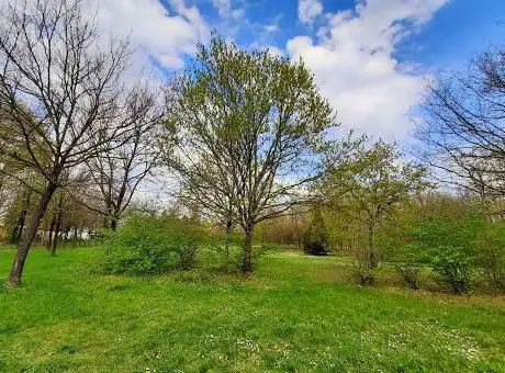 Photo de Parco Sorelle Mirabal