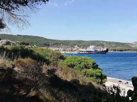 Pineta di Palau vecchio