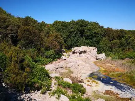 Photo de Riserva Naturale Regionale Tor Caldara
