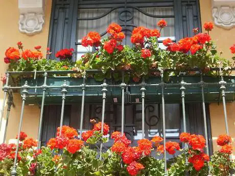 Photo de GuÃasmur GuÃas de Turismo Murcia