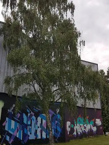 Skate Parc