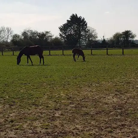 Photo de Cadges Farm Livery