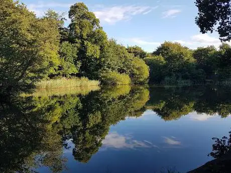 Photo de Reed Pond