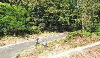 Ancienne route forestière de la reine Amélie (piétonne)