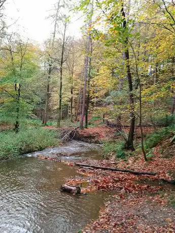 Flatts wood