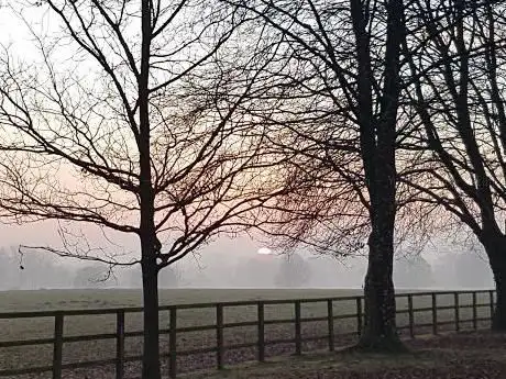 Clarendon Park