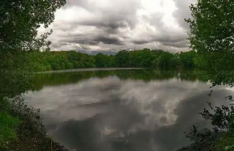 Boultham Moor Wood