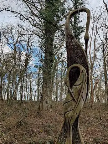 Sentier de la forêt du menu bois