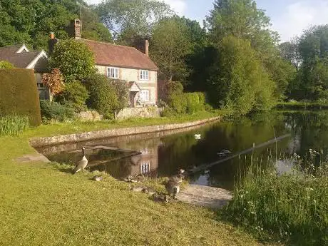 Photo de Shottermill Pond