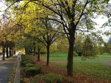 Photo de Parc des Essillards