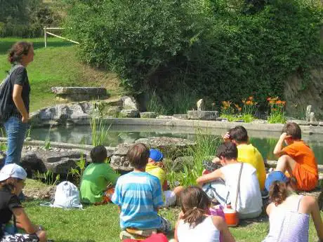 Photo de Centro Visite Turismo Ambientale e Scolastico di Isola Polvese