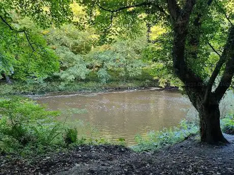Photo de Durham River Walk Car Park Picnic Spot