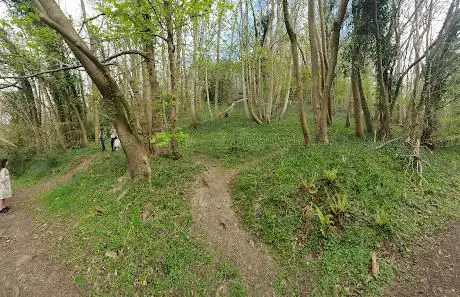 Greyfield Wood