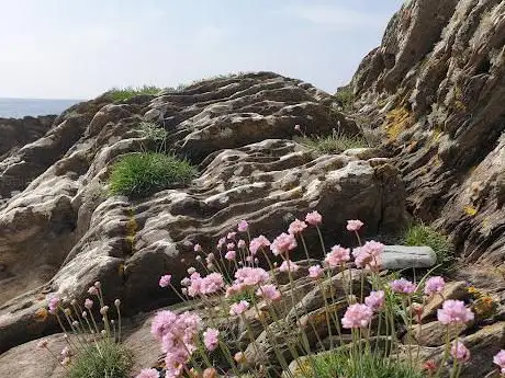Samphire Beach