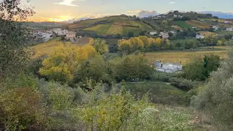 Progetto Silva - Piantando