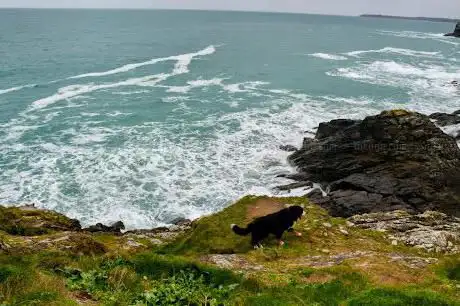 Photo de Pointe de la Moulière