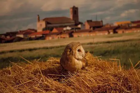 Photo de Aula de la Naturaleza