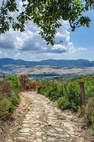 Photo de Bosco di Rùdina (S.I.C.)