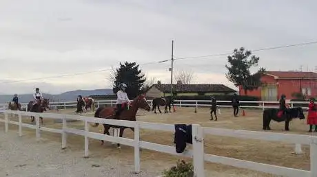 DELLE ROSE EQUESTRIAN ACADEMY