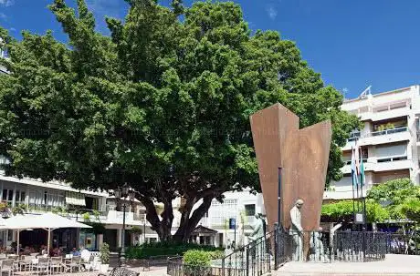 Photo de Arbol De Las Pelotillas