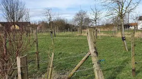 Drieszenhoeve VZW Voedselbos