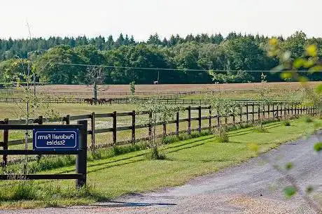 Allington Equine