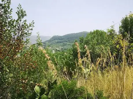 Spiazzale Bocca di Rivo