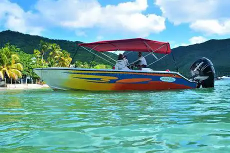 KairiDream Martinique Boat trip Martinique - Dolphin watching excursion
